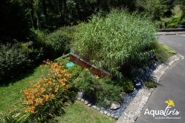 Phytoépuration Phytoépuration